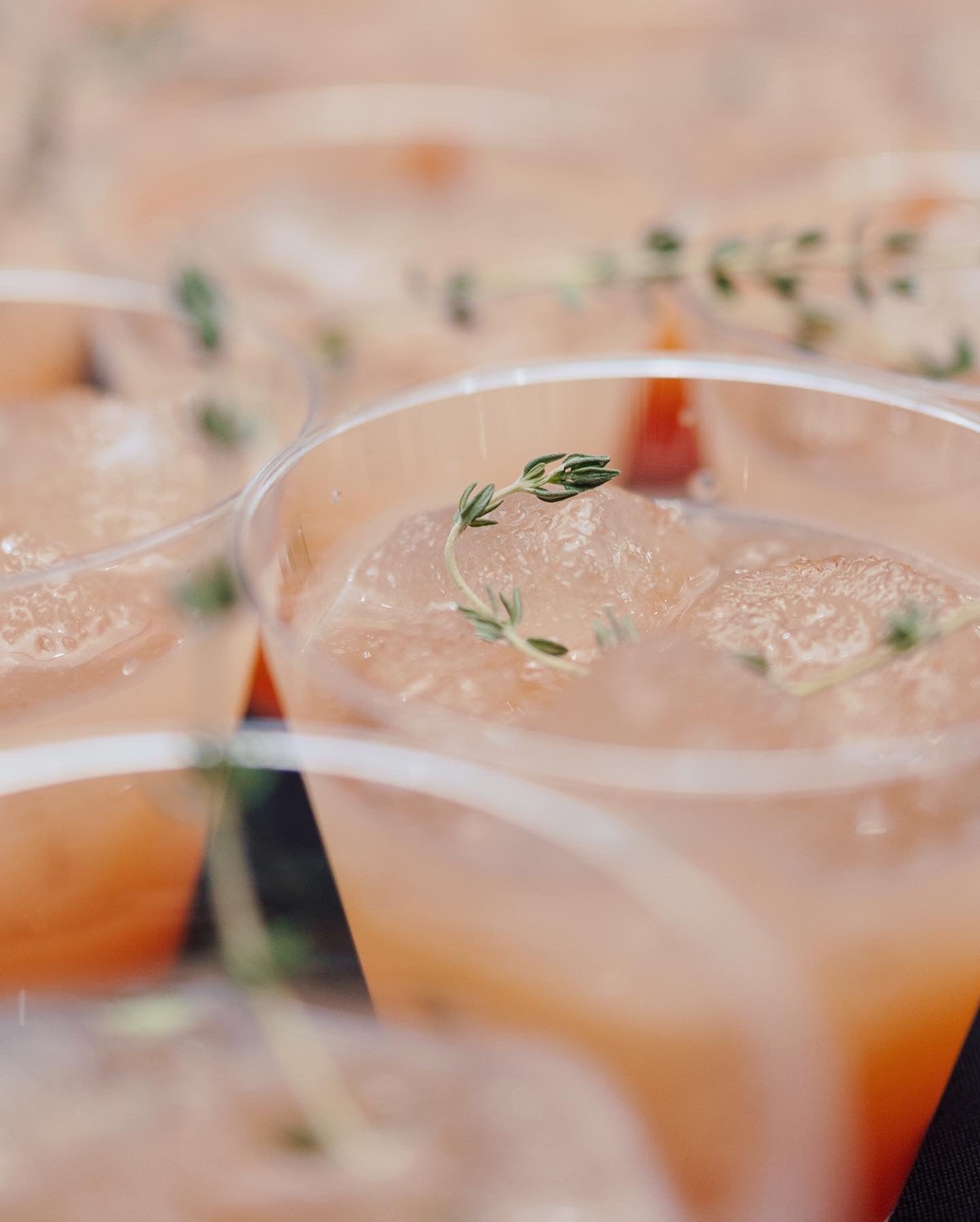 CBD MOCKTAIL SERIES— Paloma Breeze featuring Reform Botanicals' Calm CBD Tincture