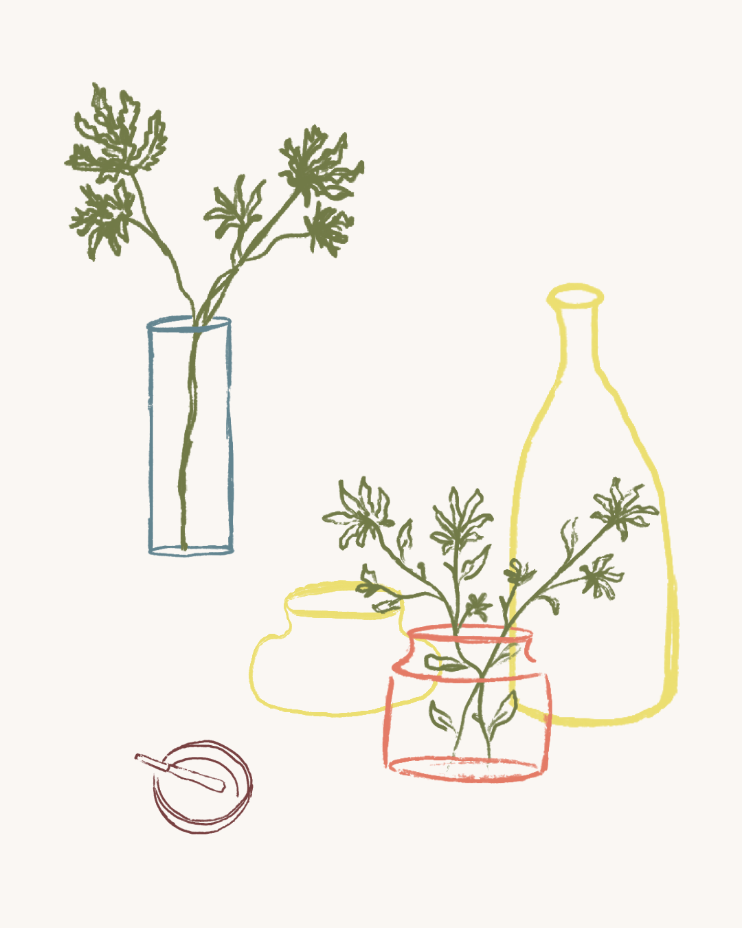 Reform Botanicals Plant Medicine Illustration